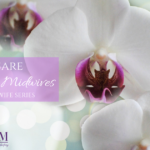 Self Care for Student Midwives